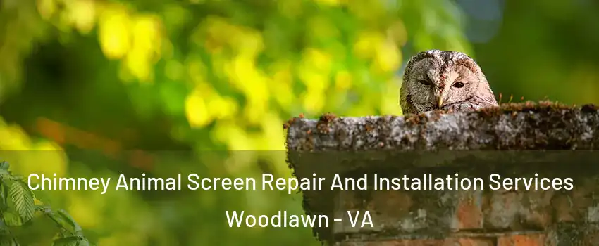  Chimney Animal Screen Repair And Installation Services Woodlawn - VA