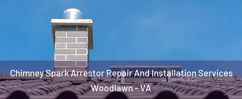  Chimney Spark Arrestor Repair And Installation Services Woodlawn - VA