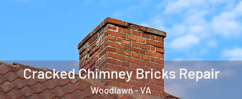  Cracked Chimney Bricks Repair Woodlawn - VA