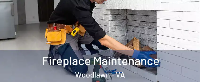  Fireplace Maintenance Woodlawn - VA