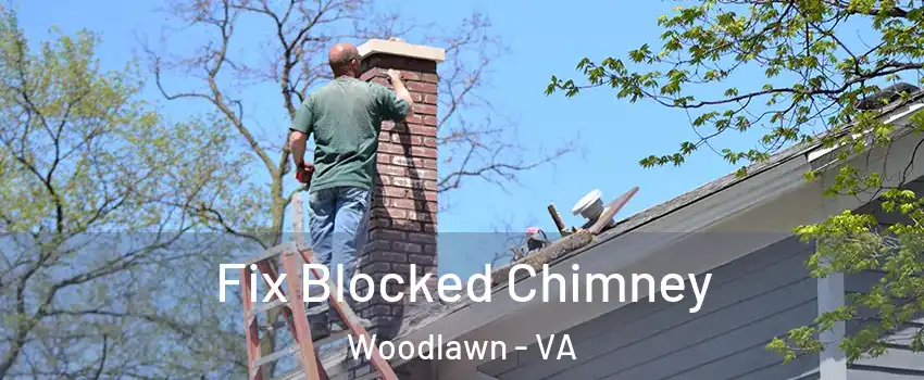  Fix Blocked Chimney Woodlawn - VA