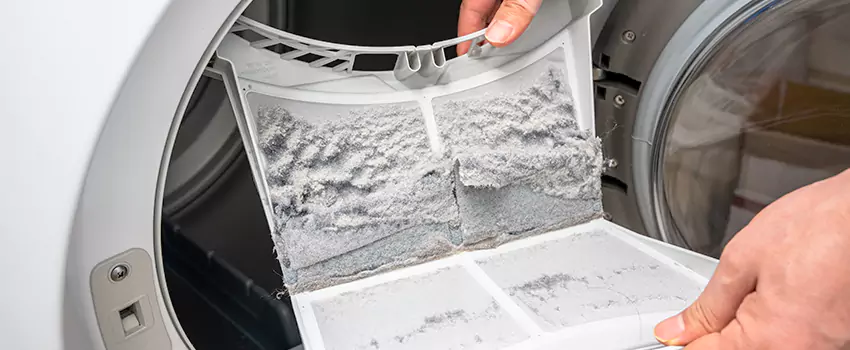 Best Dryer Lint Removal Company in Woodlawn, Virginia