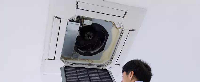 Benefits of Professional Air Duct Cleaning in Woodlawn, Virginia