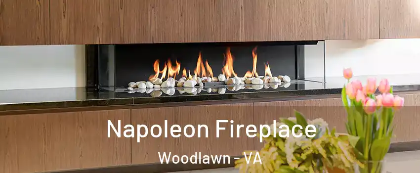  Napoleon Fireplace Woodlawn - VA